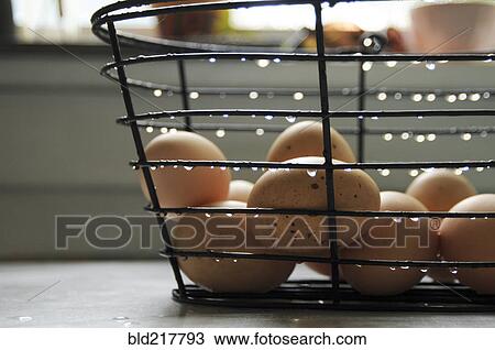 Close up of eggs in wet basket View Large Photo Image Stock Image - Close up of eggs in wet basket. Fotosearch