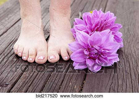 Stock Image - Close up of feet of mixed race woman and dahlia flowers. Fotosearch
