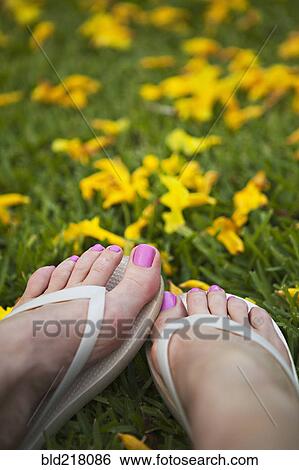 Stock Photograph - Close up of feet of woman wearing flipflops. Fotosearch