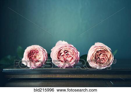 Stock Photograph - Close up of flowers on table. Fotosearch