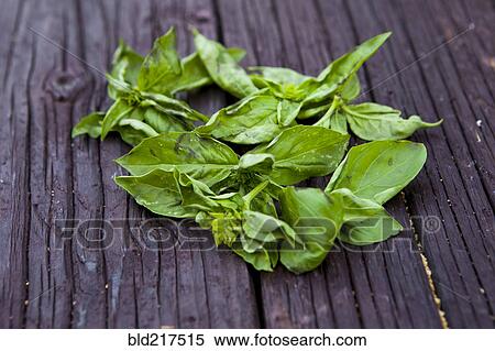 Stock Photography - Close up of fresh basil leaves on board. Fotosearch