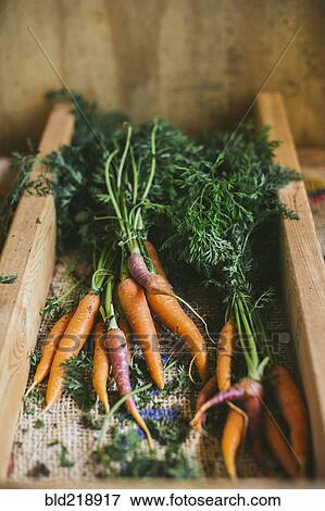 Stock Photo - Close up of fresh carrots. Fotosearch