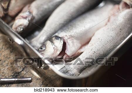 Close up of fresh fish in baking dish View Large Photo Image Stock Image - Close up of fresh fish in baking dish. Fotosearch