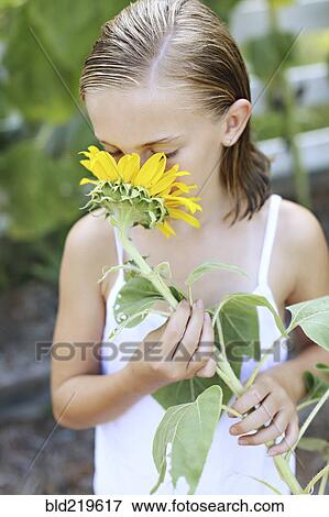 Stock Photo - Close up of girl smelling sunflower outdoors. Fotosearch