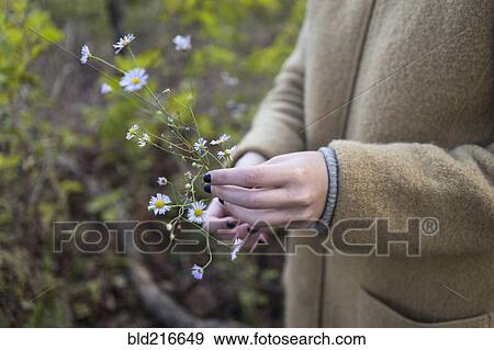Close up of hands of woman holding flowers View Large Photo Image Stock Photo - Close up of hands of woman holding flowers. Fotosearch