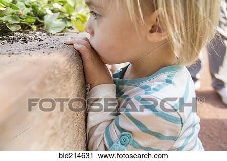 Stock Image - Close up of Hispanic boy playing in garden. Fotosearch
