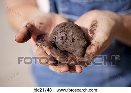 Stock Image - Close up of mixed race farmer holding dirt. Fotosearch