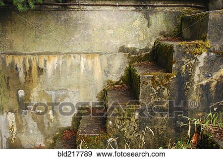 Stock Photo - Close up of mossy concrete staircase. Fotosearch