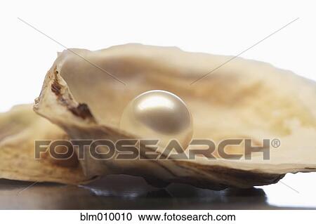 Stock Image - Close up of pearl in oyster shell. Fotosearch