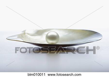 Close up of pearl in oyster shell View Large Photo Image Stock Image - Close up of pearl in oyster shell. Fotosearch