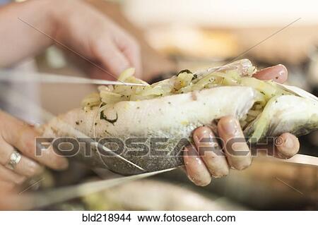 Picture - Close up of people tying stuffed fish with string. Fotosearch