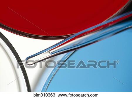 Close up of petri dish and pipette View Large Photo Image Stock Image - Close up of petri dish and pipette. Fotosearch