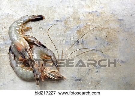 Stock Photo - Close up of raw shrimp. Fotosearch
