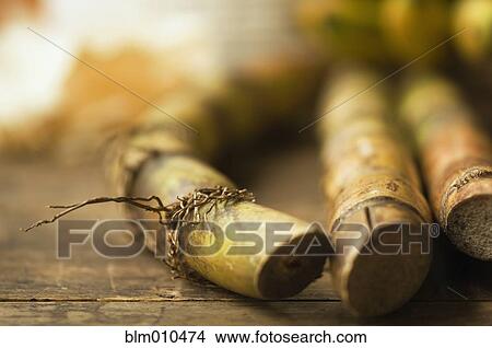 Picture - Close up of sugar cane stick. Fotosearch