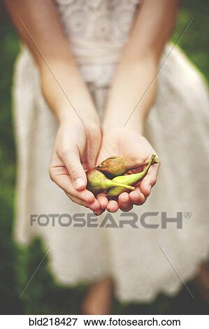 Close up of woman girl seed pods View Large Photo Image Stock Photo - Close up of woman girl seed pods. Fotosearch