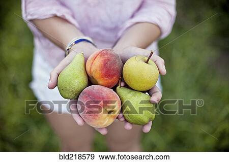 Close up of woman holding fresh picked fruit View Large Photo Image Stock Photo - Close up of woman holding fresh picked fruit. Fotosearch