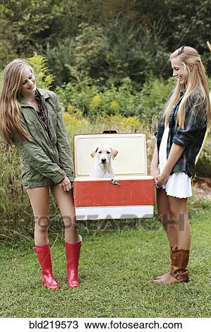 Stock Image - Close up of women carrying dog in vintage cooler. Fotosearch