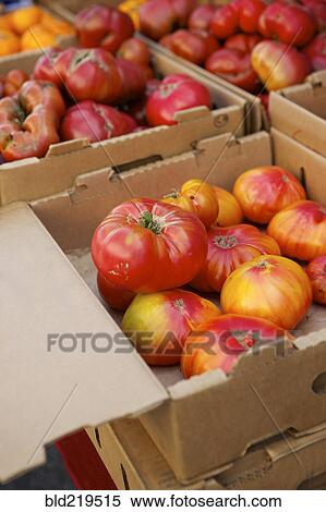 Crates of varieties of fresh tomatoes View Large Photo Image Stock Photography - Crates of varieties of fresh tomatoes. Fotosearch