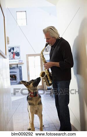 Dog listening to Caucasian man play saxophone View Large Photo Image Stock Image - Dog listening to Caucasian man play saxophone. Fotosearch