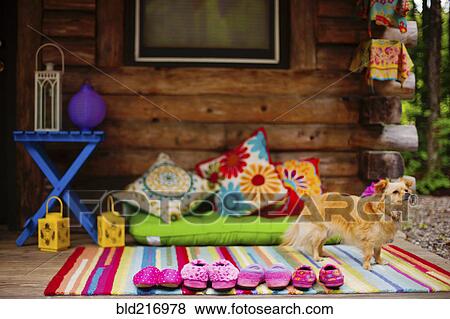 Dog standing on cabin porch View Large Photo Image Stock Photo - Dog standing on cabin porch. Fotosearch