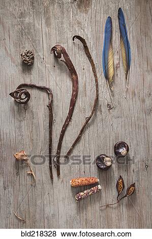 Dried leaves, plant stalks, shells and feathers View Large Photo Image Stock Photo - Dried leaves, plant stalks, shells and feathers. Fotosearch