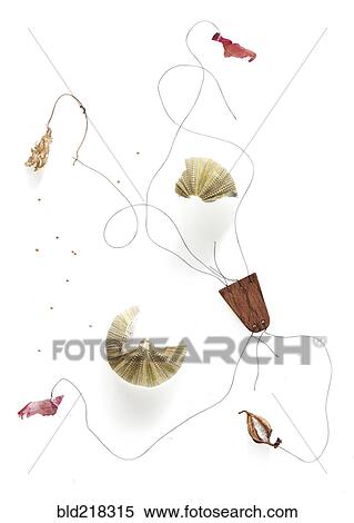 Stock Photography - Dry branch with flowers and leaves. Fotosearch