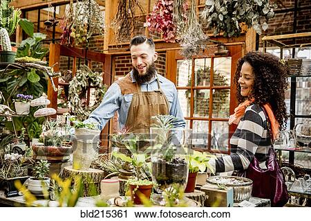 Employees examining plants in nursery View Large Photo Image Stock Image - Employees examining plants in nursery. Fotosearch