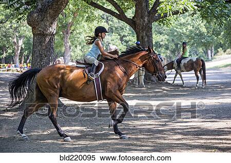 Equestrian girl riding horse on ranch View Large Photo Image Stock Photography - Equestrian girl riding horse on ranch. Fotosearch