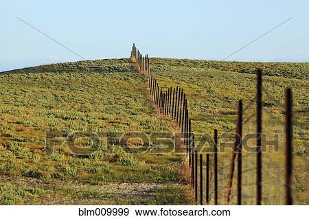 Stock Photo - Fence in remote field. Fotosearch