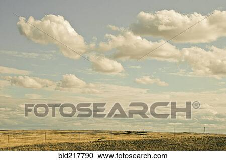 Stock Image - Fenced fields in rural landscape. Fotosearch