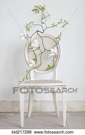 Flowering branch on empty chair View Large Photo Image Stock Photo - Flowering branch on empty chair. Fotosearch