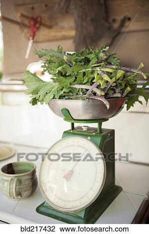 Fresh greens weighing on scale View Large Photo Image Stock Image - Fresh greens weighing on scale. Fotosearch