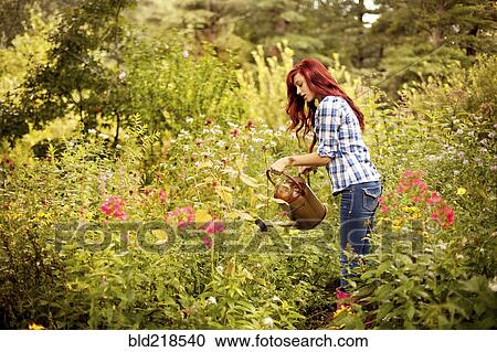 Stock Image - Gardener watering plants in backyard. Fotosearch
