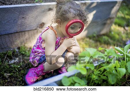 Girl examining garden plants with magnifying glass View Large Photo Image Stock Image - Girl examining garden plants with magnifying glass. Fotosearch