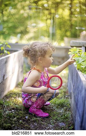 Girl examining garden plants with magnifying glass View Large Photo Image Stock Image - Girl examining garden plants with magnifying glass. Fotosearch
