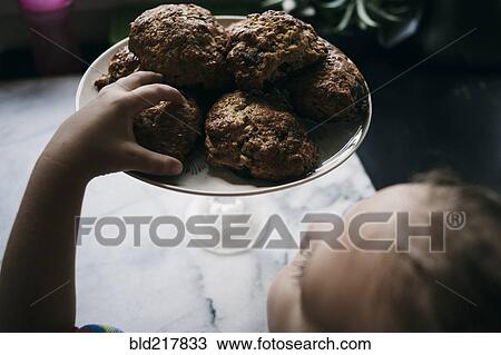 Girl reaching for cookie on kitchen counter View Large Photo Image Stock Image - Girl reaching for cookie on kitchen counter. Fotosearch