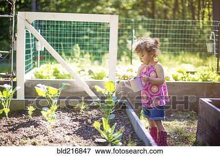 Stock Photo - Girl watering plants in garden. Fotosearch