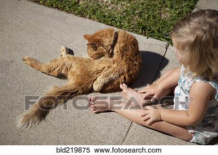 High angle view of girl watching cat in backyard View Large Photo Image Stock Photography - High angle view of girl watching cat in backyard. Fotosearch