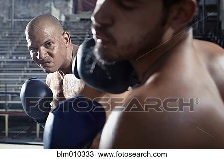 Hispanic boxers sparring in gym View Large Photo Image Stock Image - Hispanic boxers sparring in gym. Fotosearch