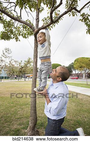 Hispanic father and son playing on tree in park View Large Photo Image Stock Photo - Hispanic father and son playing on tree in park. Fotosearch