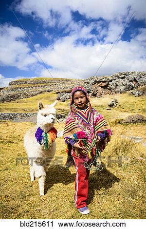 Stock Image - Hispanic girl walking llama in rural landscape. Fotosearch