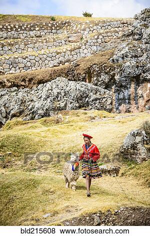 Hispanic girl walking llama in rural landscape View Large Photo Image Stock Photo - Hispanic girl walking llama in rural landscape. Fotosearch