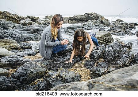 Hispanic mother and daughter exploring tide pools View Large Photo Image Stock Photo - Hispanic mother and daughter exploring tide pools. Fotosearch