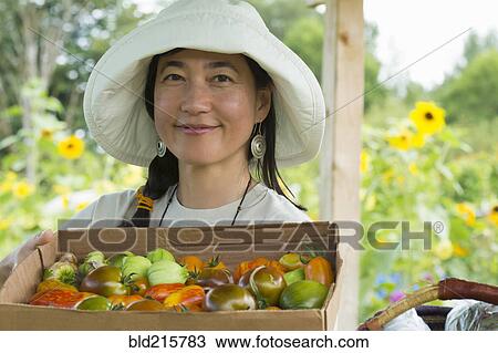 Japanese farmer harvesting produce on farm View Large Photo Image Stock Image - Japanese farmer harvesting produce on farm. Fotosearch