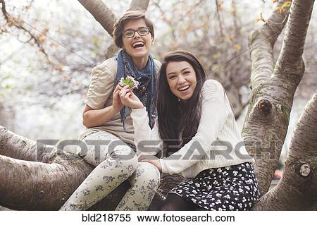 Stock Photography - Laughing friends sitting in tree. Fotosearch