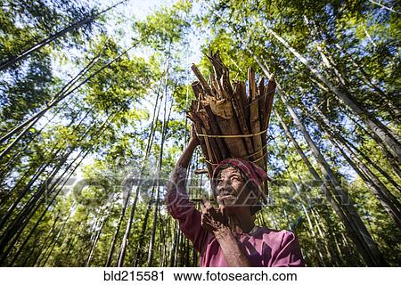 Stock Image - Low angle view of Asian man carrying stick bundle on her head. Fotosearch
