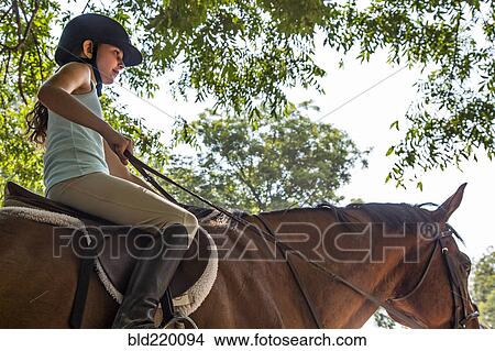 Picture - Low angle view of equestrian girl riding horse. Fotosearch