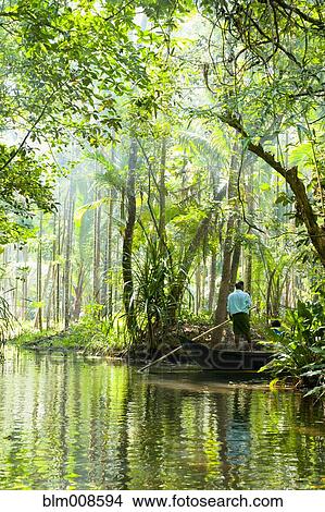 Picture - Man standing in boat on tranquil forest river. Fotosearch