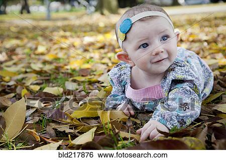 Stock Photograph - Mixed race baby girl crawling in autumn leaves. Fotosearch
