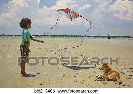 Stock Photography - Mixed race boy flying kite on beach. Fotosearch